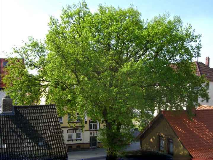 raumzeit_0006_ebene-2