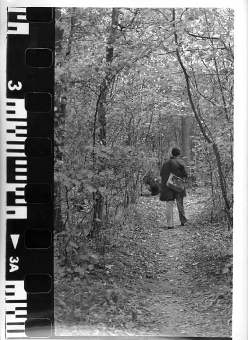 analog1