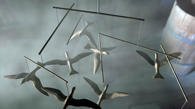 birds-624x351